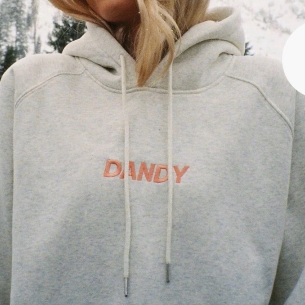 DANDY Embroidered Light Gray Hoodie Sweater